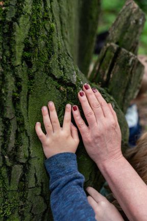 Waldwoche 2019